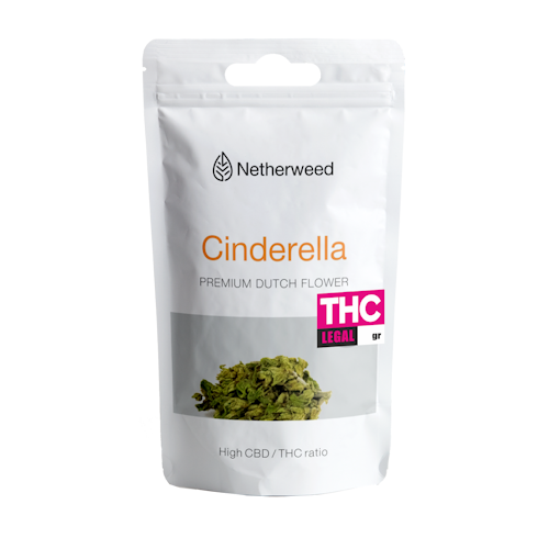 pouch-cinderella 1